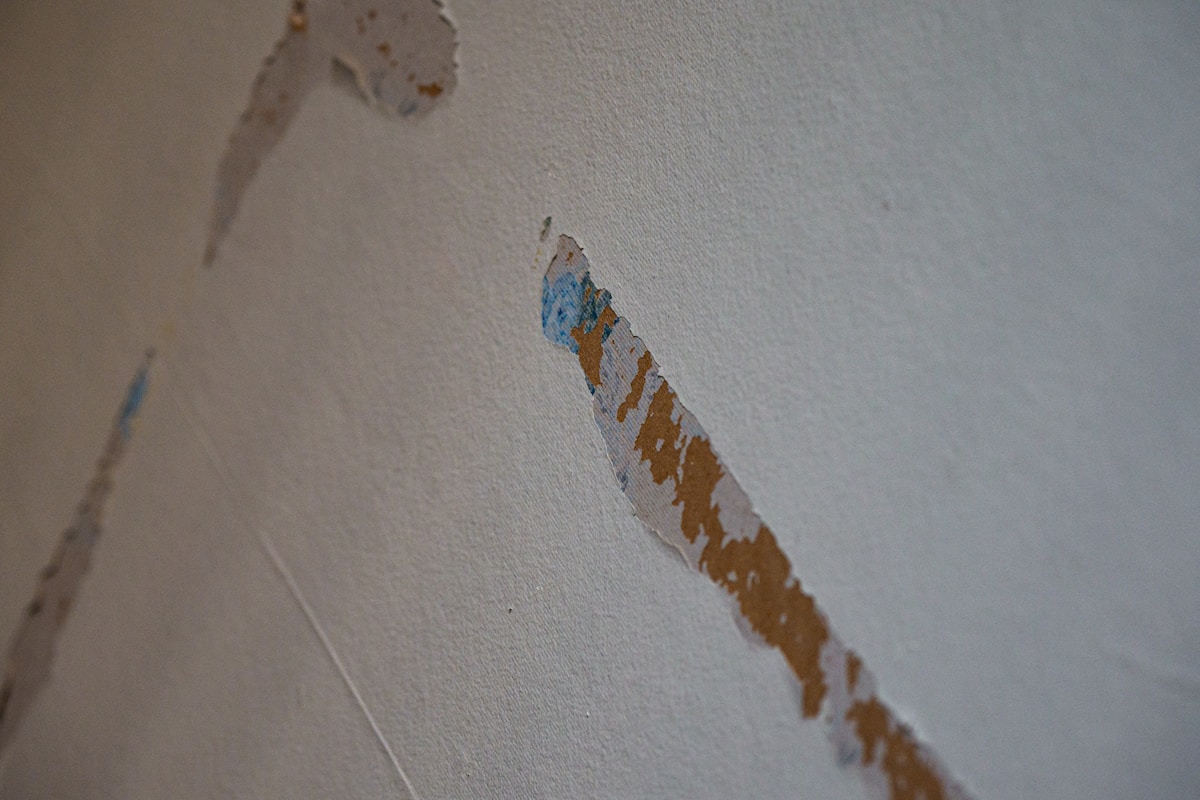 Basement Water Removal service in Porterville, CA